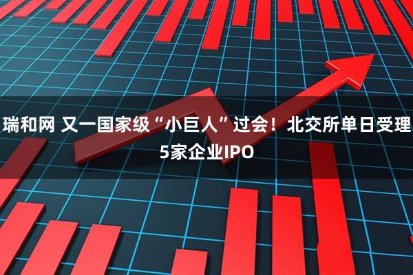 瑞和网 又一国家级“小巨人”过会！北交所单日受理5家企业IPO
